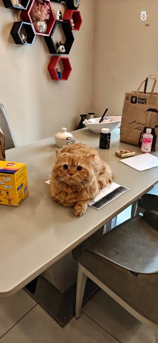 Sanskriti's home photo 8