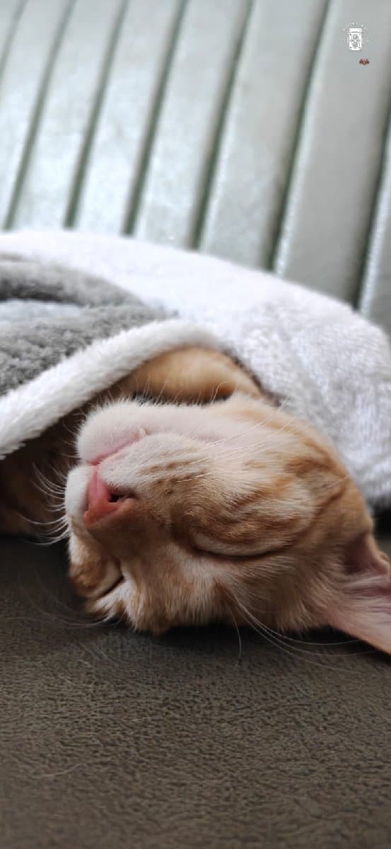 Sanskriti's home photo 2