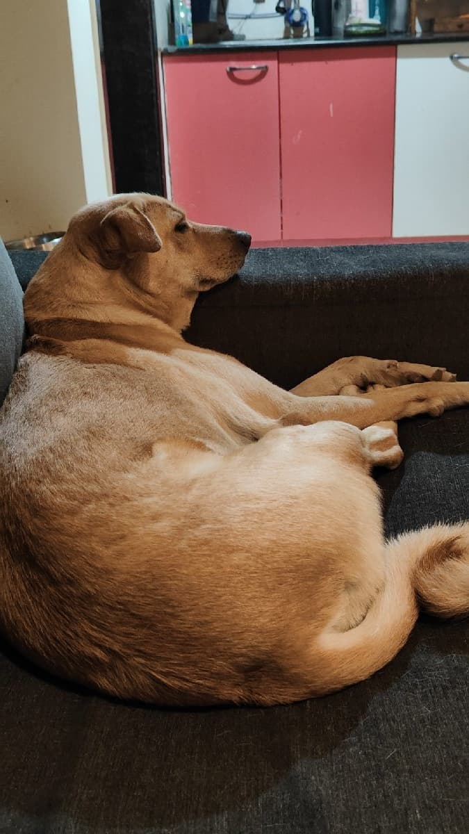 Sanskriti's home photo 6