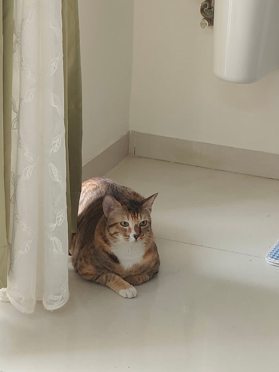 Sanskriti's home photo 5