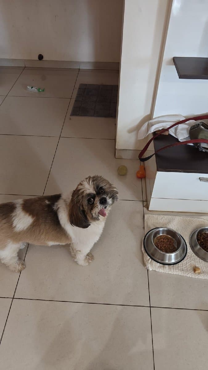 Sanskriti's home photo 7