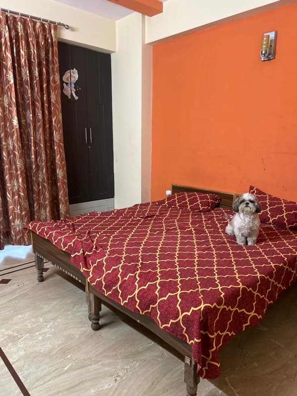 Shreya's home photo 4