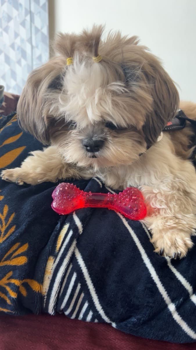 Shreya's home photo 8