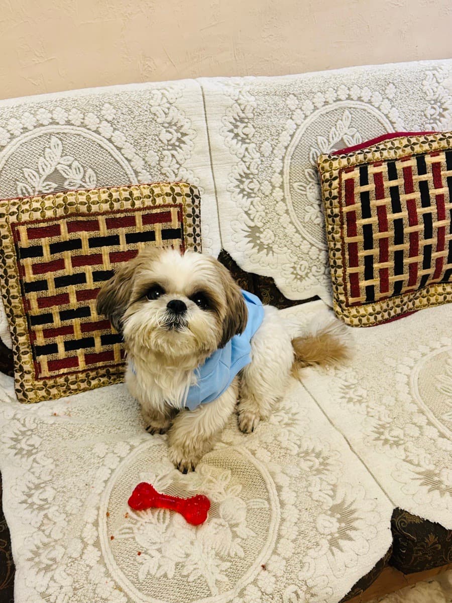 Shreya's home photo 9