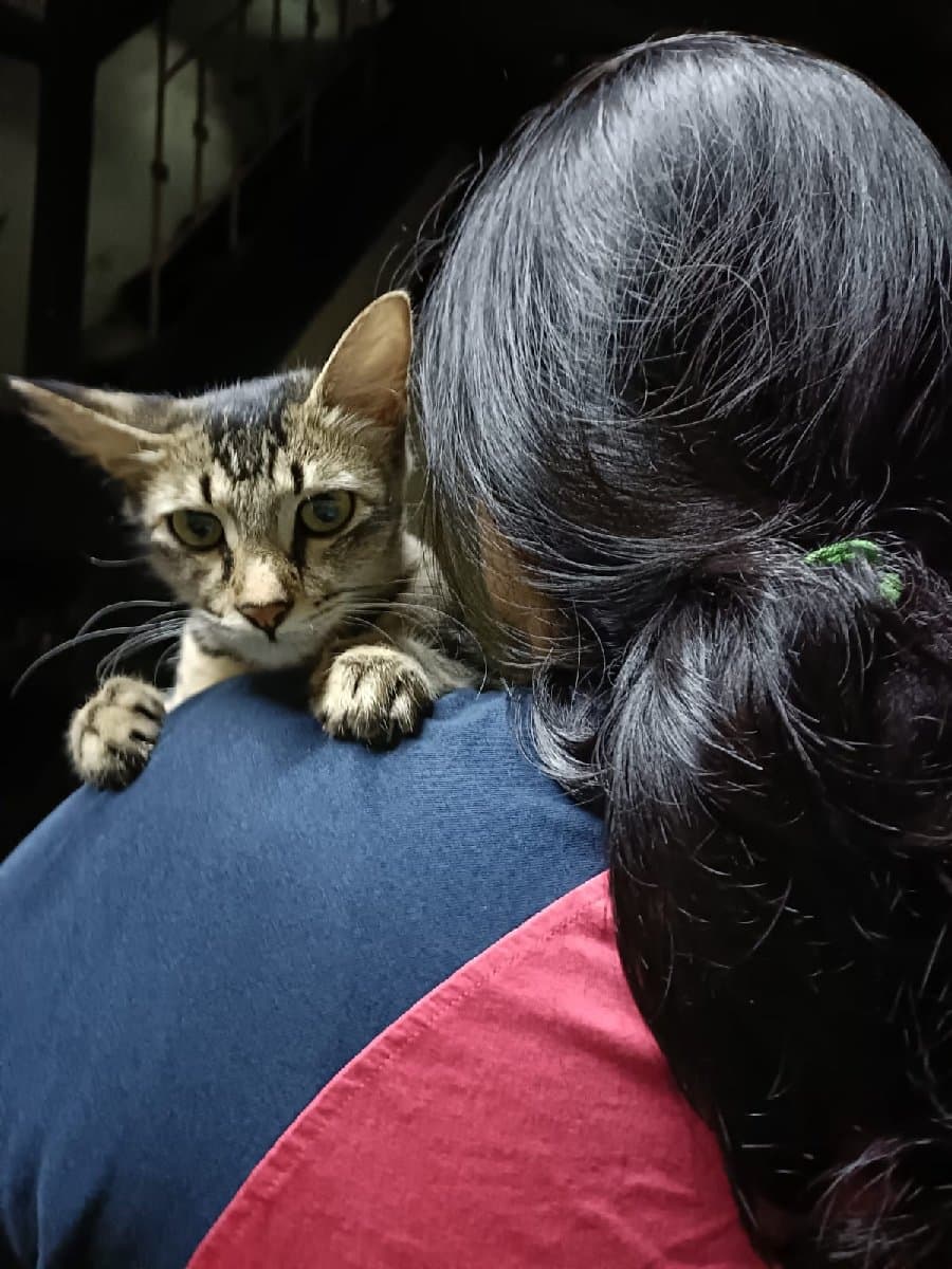 Nakshatra's home photo 6