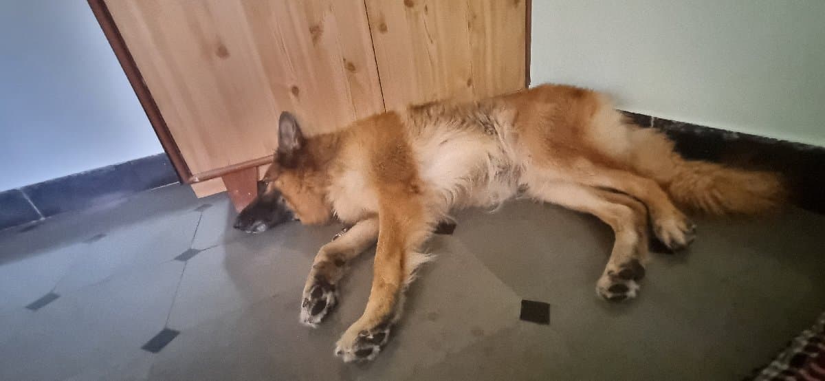 Srikar's home photo 7