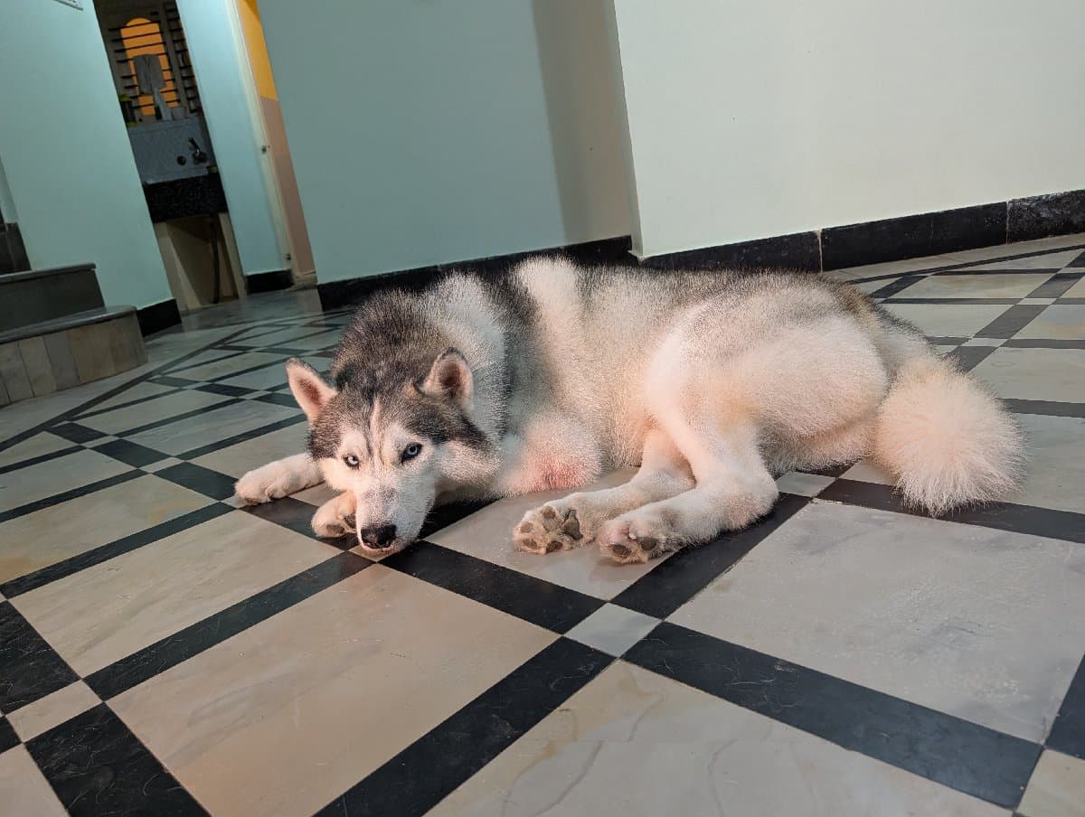 Srikar's home photo 2