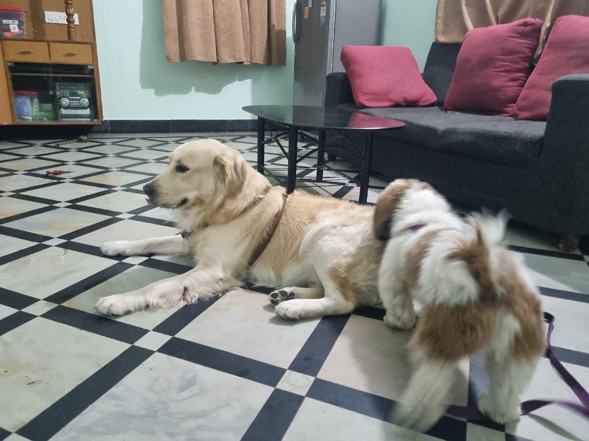 Srikar's home photo 3