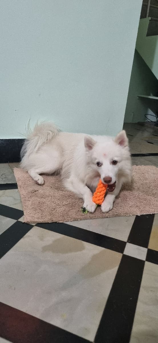 Srikar's home photo 4