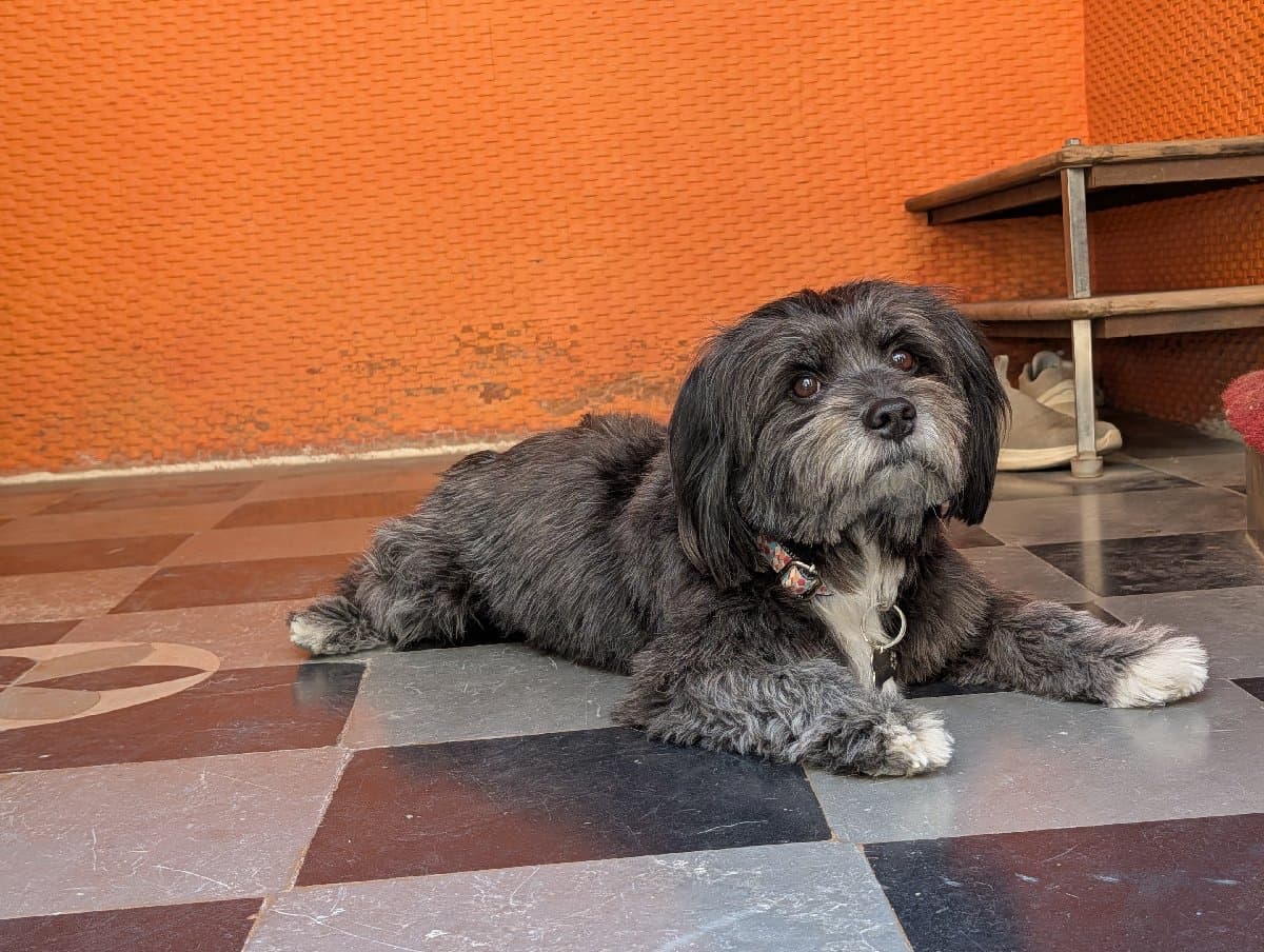 Srikar's home photo 1