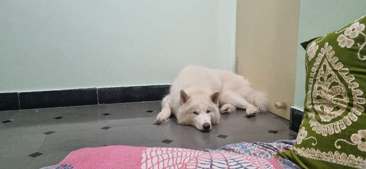 Srikar's home photo 5