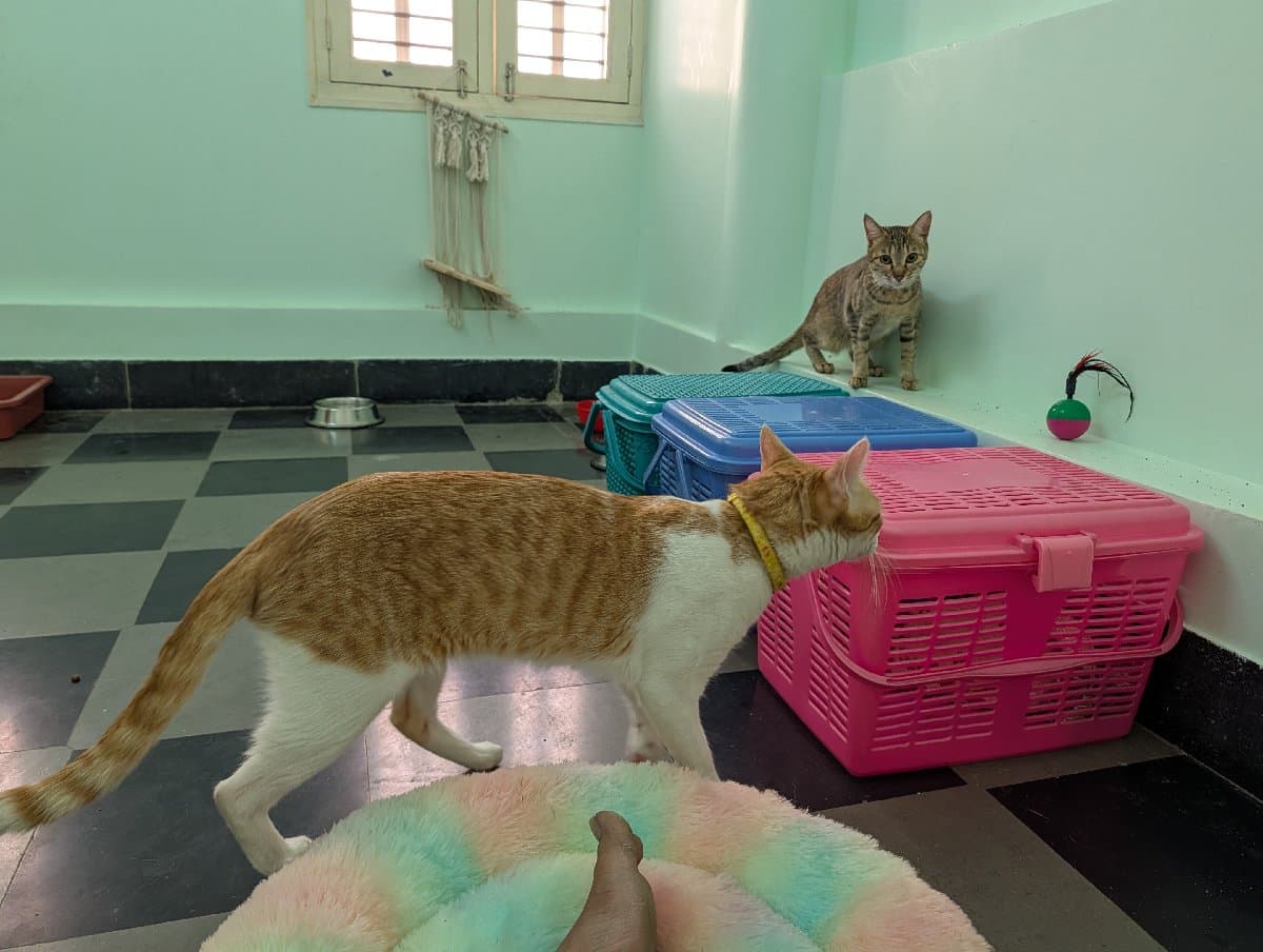 Srikar's home photo 9