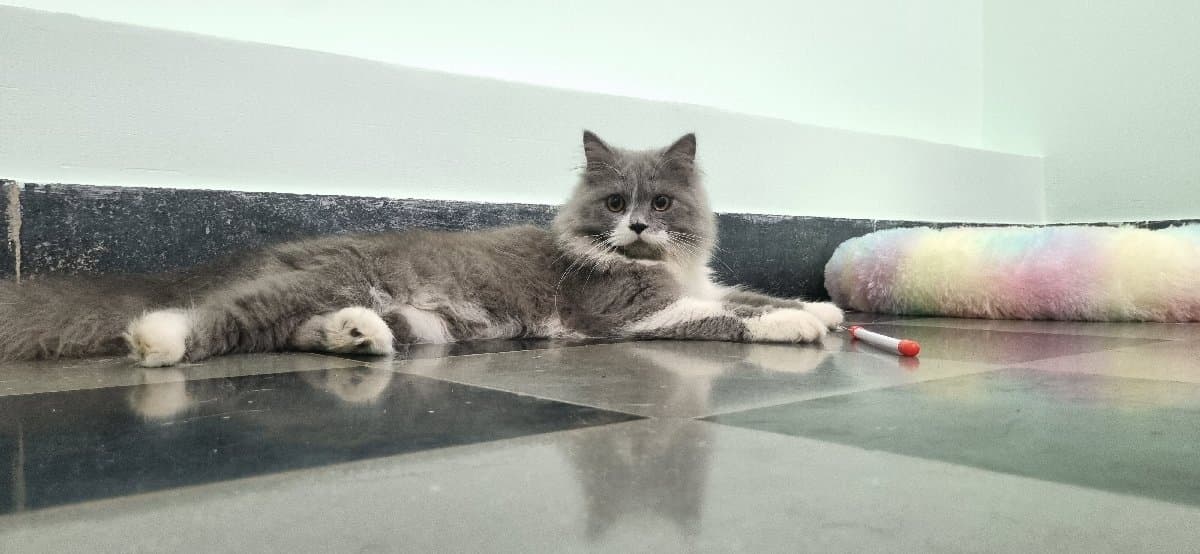 Srikar's home photo 10