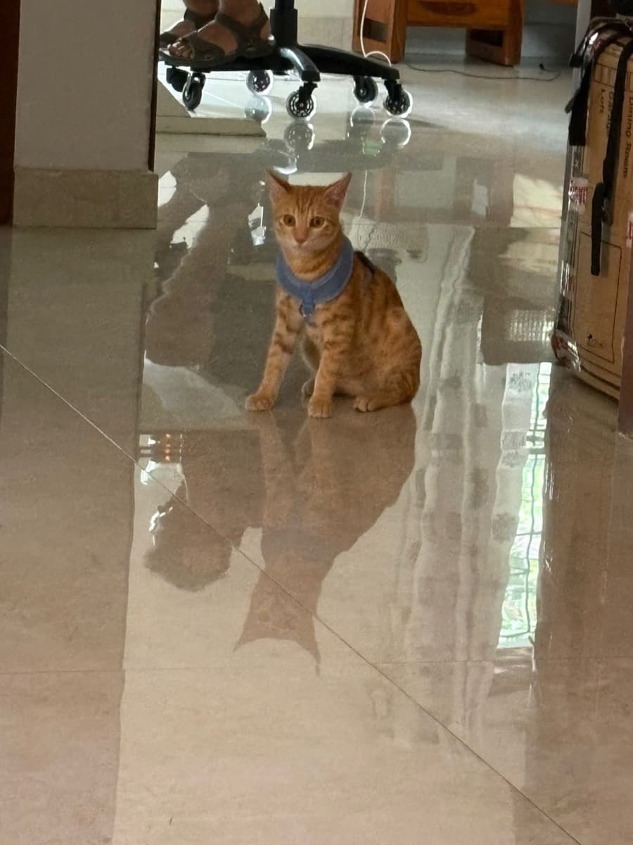 Peeyush's home photo 2