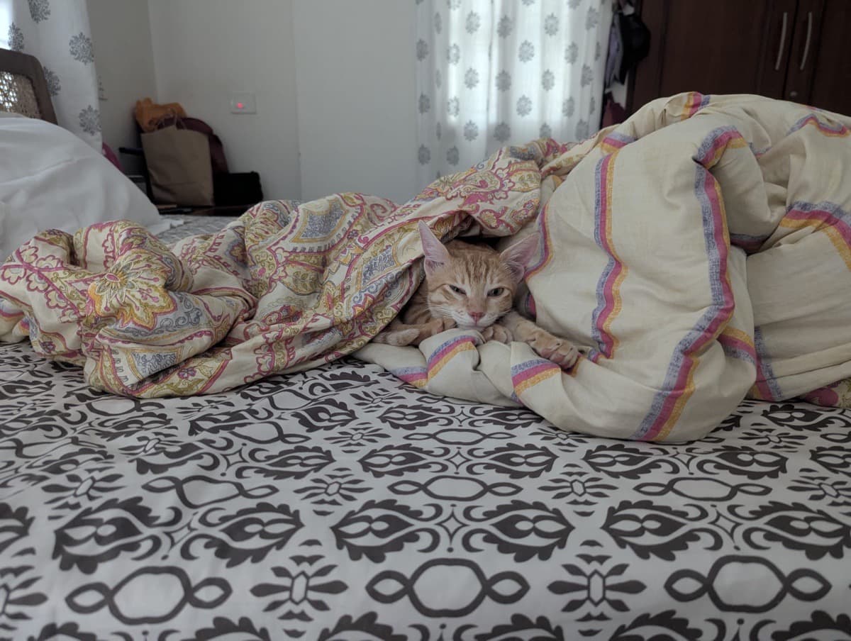 Peeyush's home photo 3