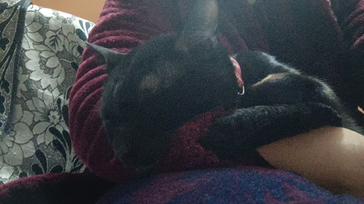 Anjana's home photo 4