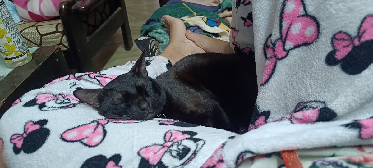 Anjana's home photo 2