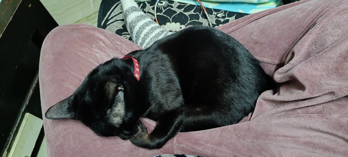 Anjana's home photo 5