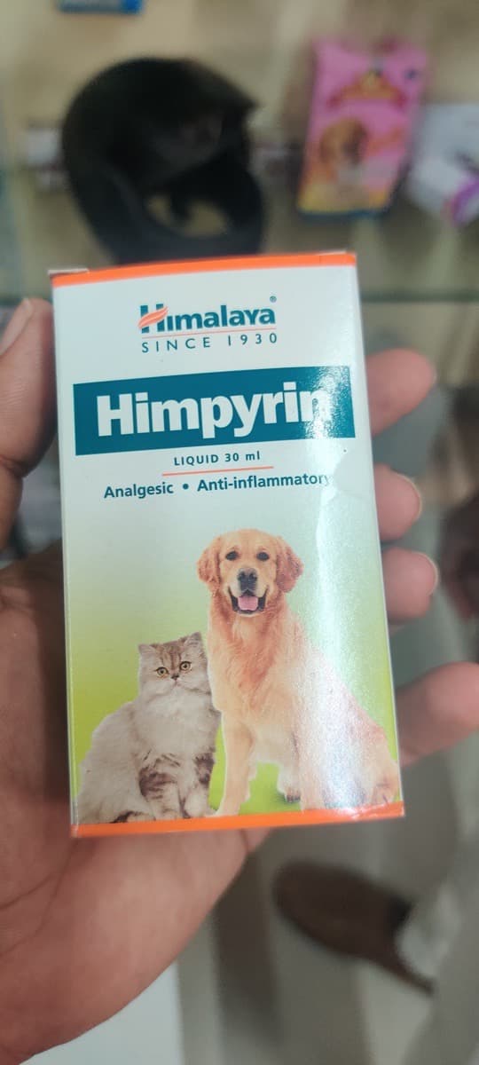 Jhankar's home photo 6