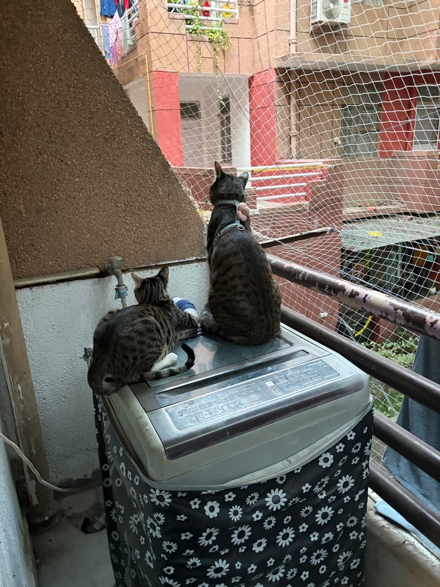 Jhankar's home photo 8