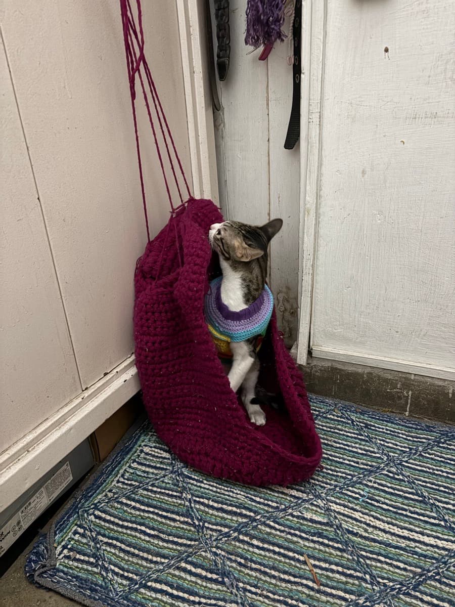 Jhankar's home photo 7