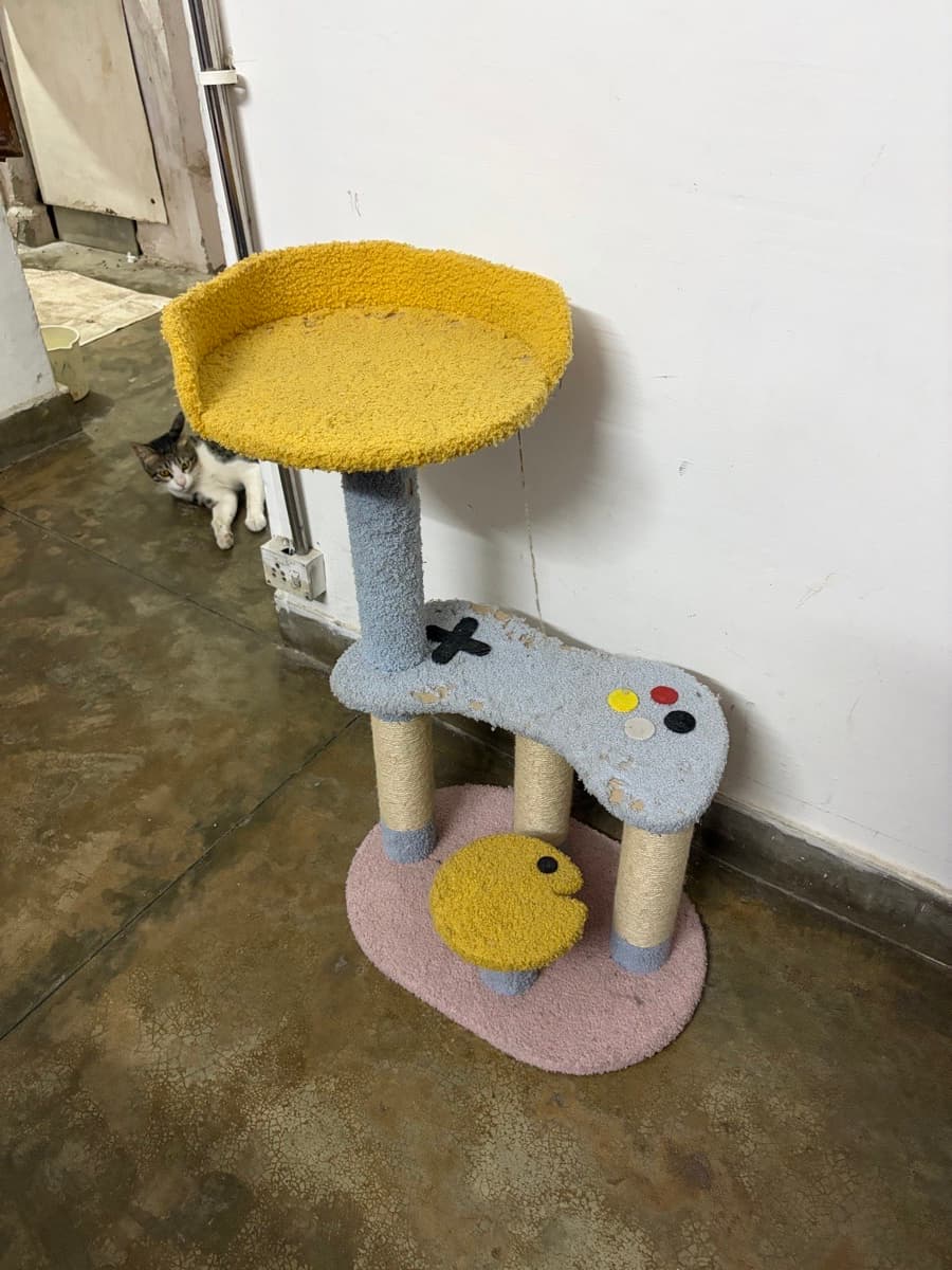 Jhankar's home photo 4