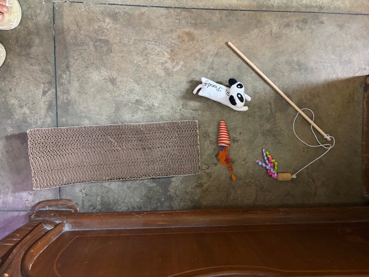 Jhankar's home photo 5