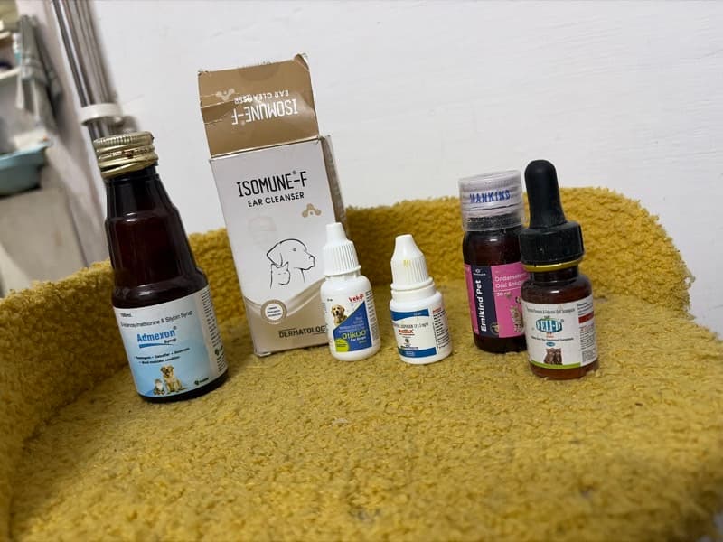 Jhankar's home photo 9