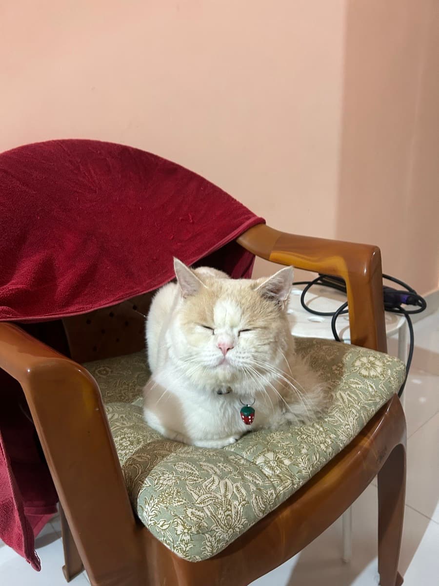 deepthi's home photo 1