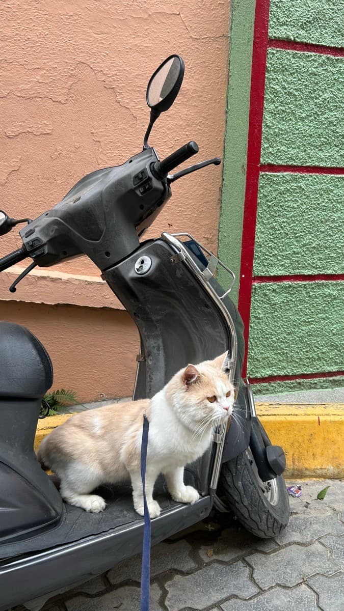 deepthi's home photo 2