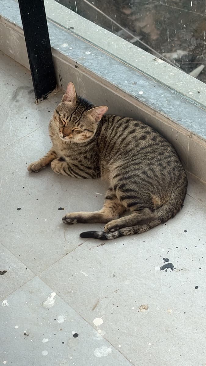 Vankudoth's home photo 5