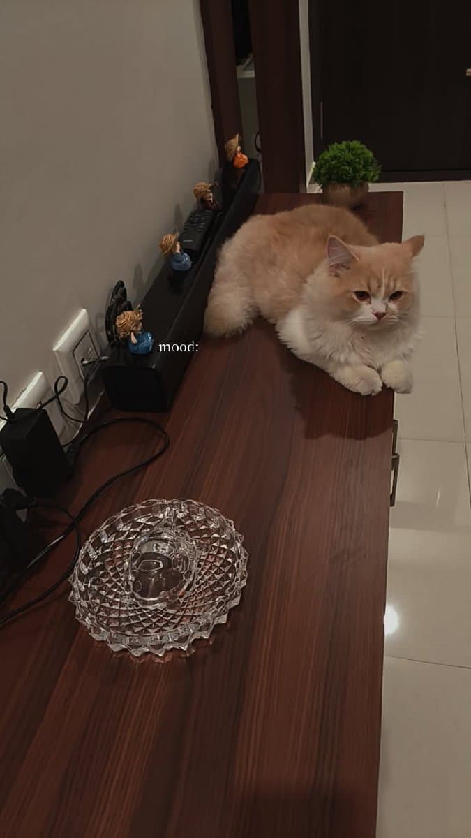 Bhagyesh's home photo 2