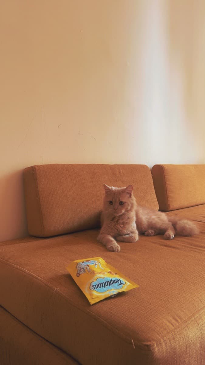 Shaikh's home photo 2