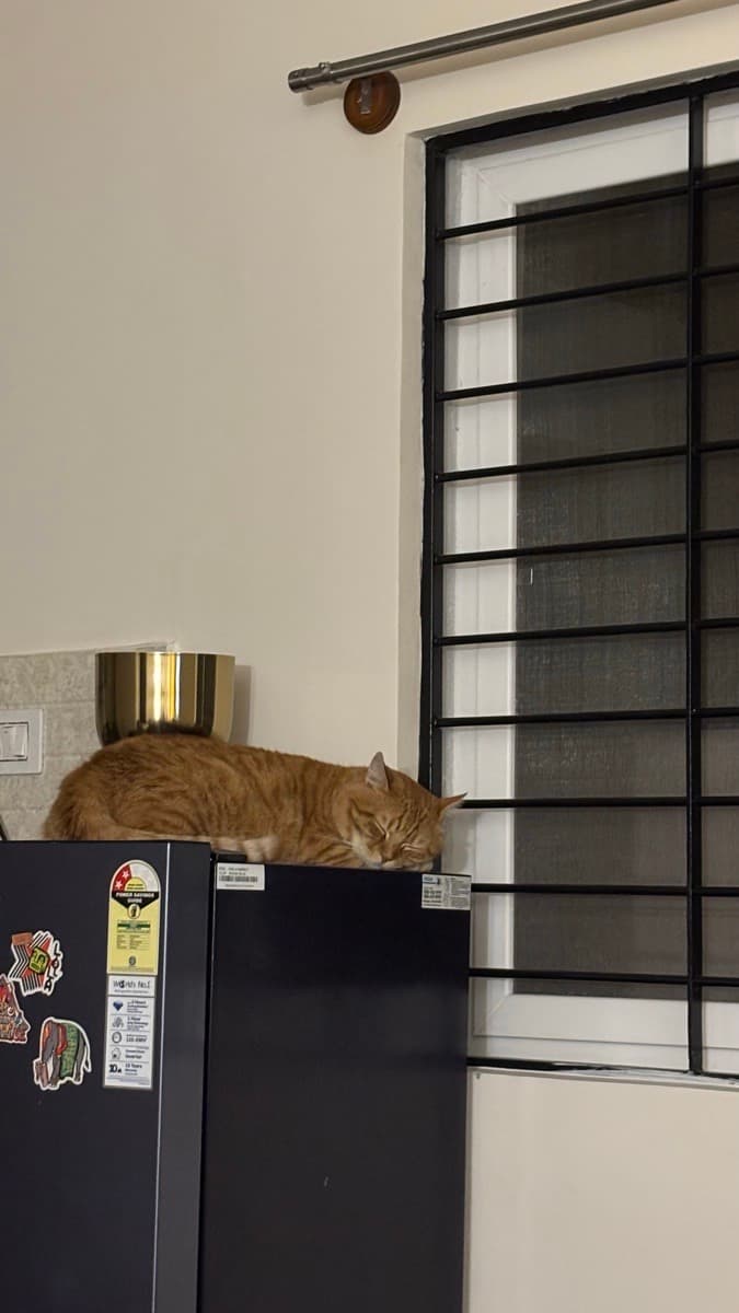 Aishwarya's home photo 4