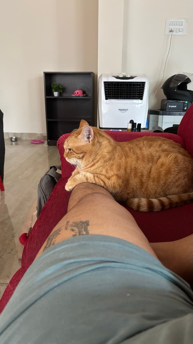 Aishwarya's home photo 6