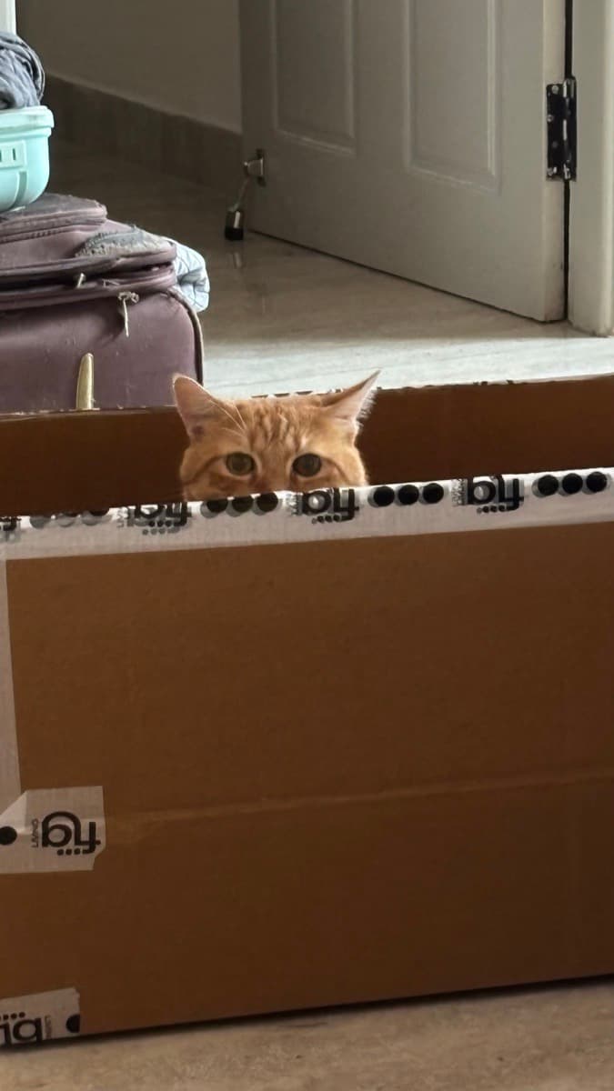 Aishwarya's home photo 5