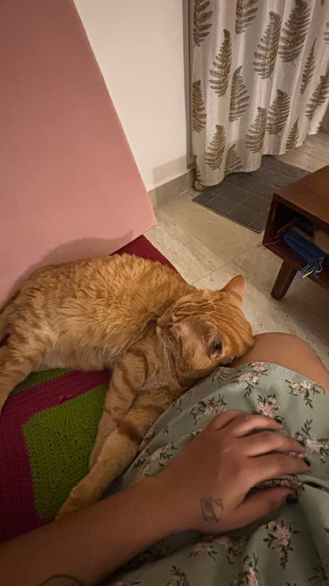 Aishwarya's home photo 2