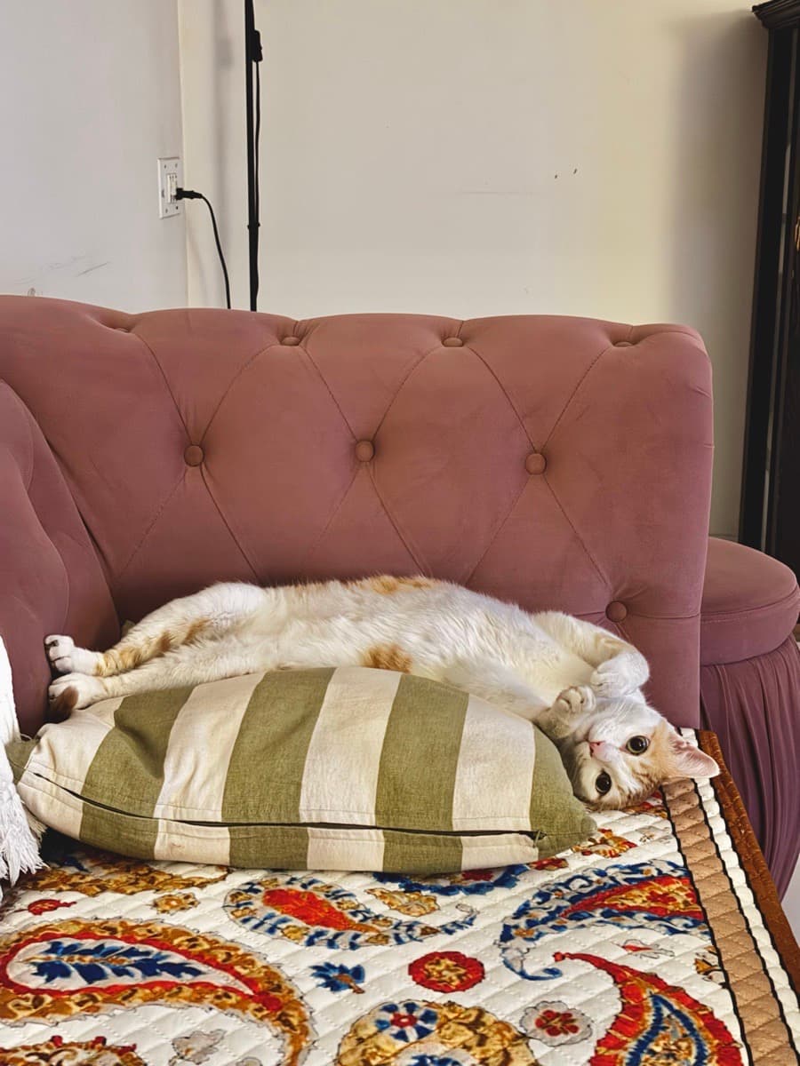 Sharon's home photo 7