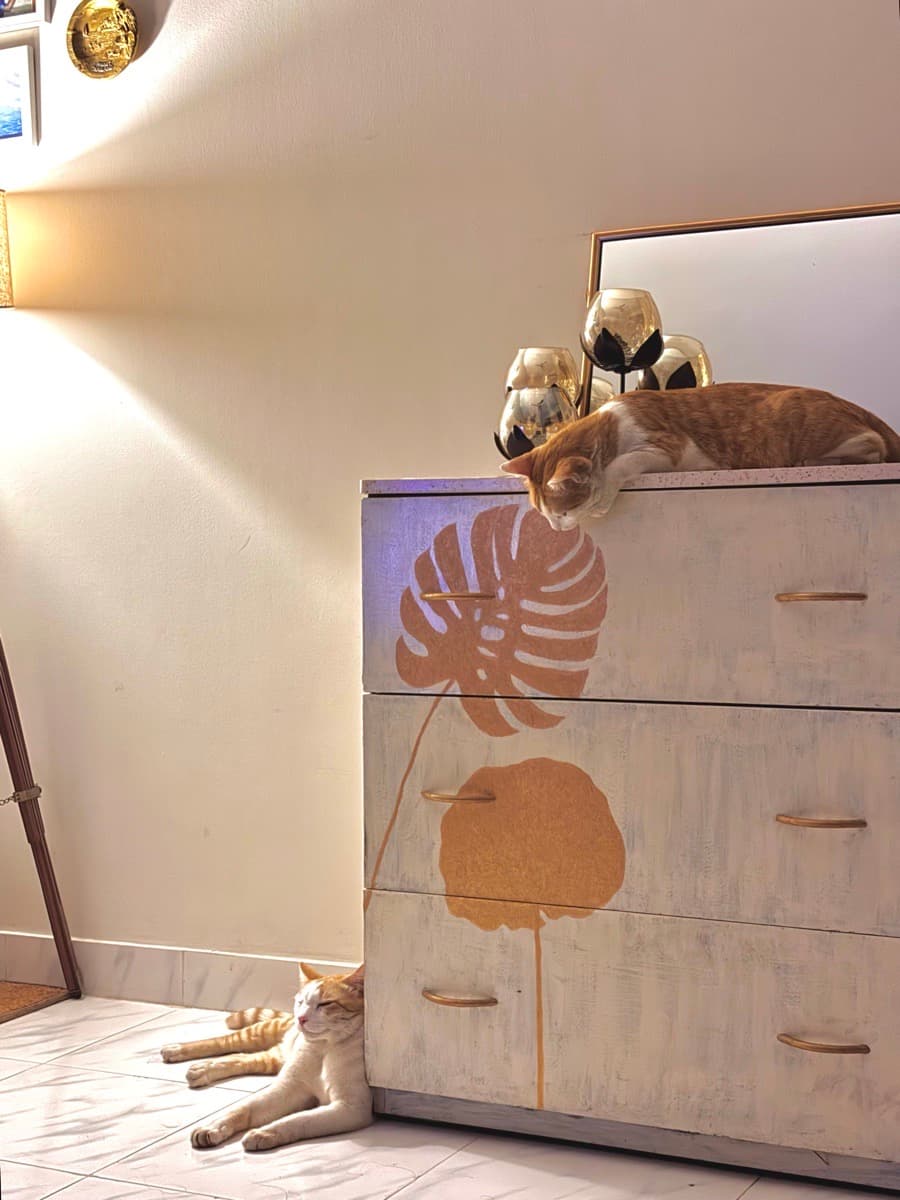 Sharon's home photo 1