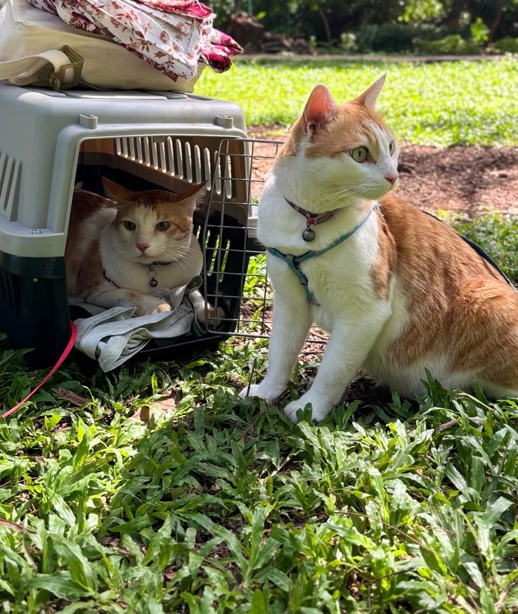 Sharon's home photo 3