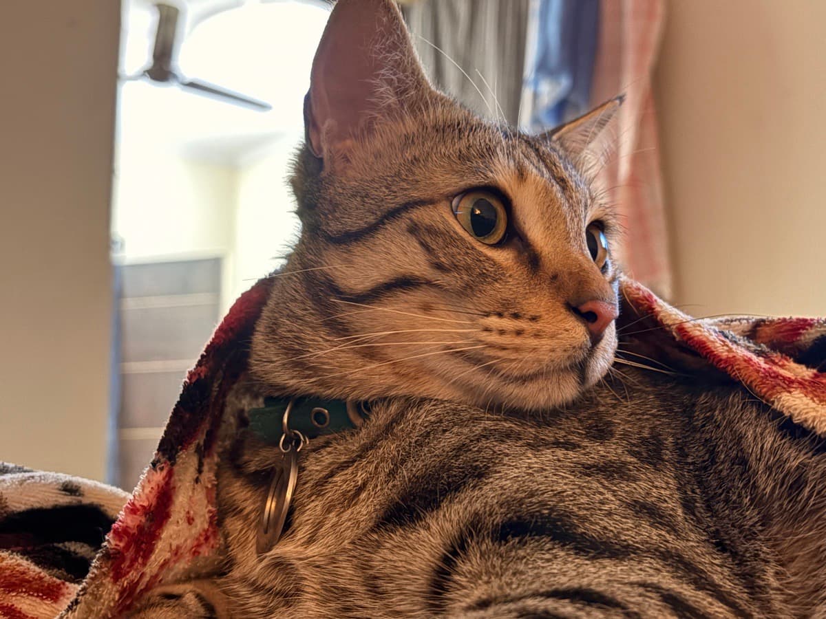 Jagriti's home photo 5