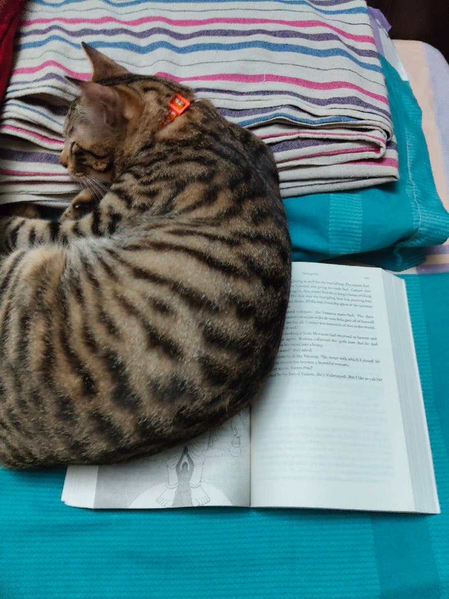 Mahima's home photo 1