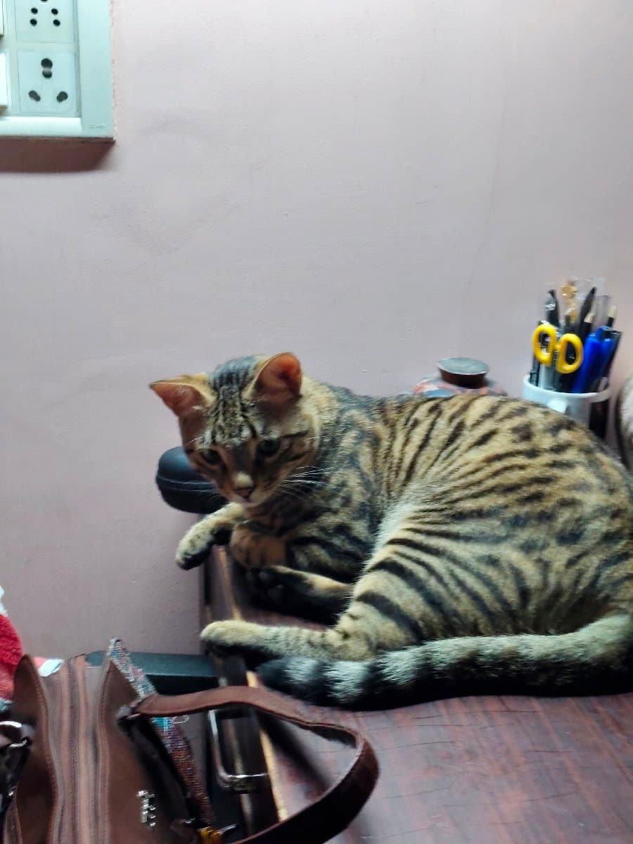 Mahima's home photo 2