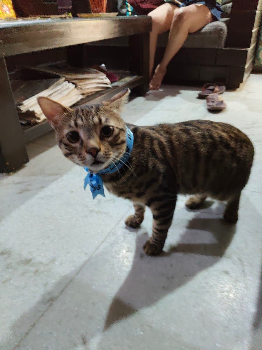 Mahima's home photo 3