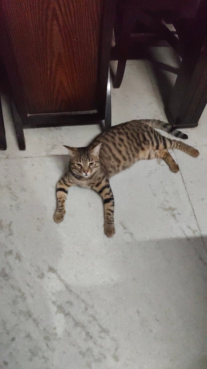 Mahima's home photo 4