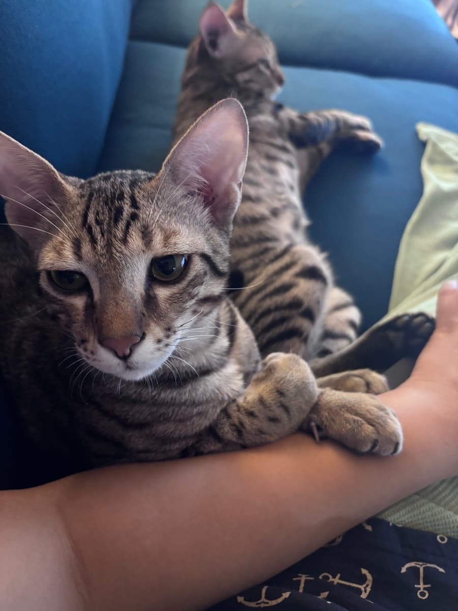 Sarah's home photo 5