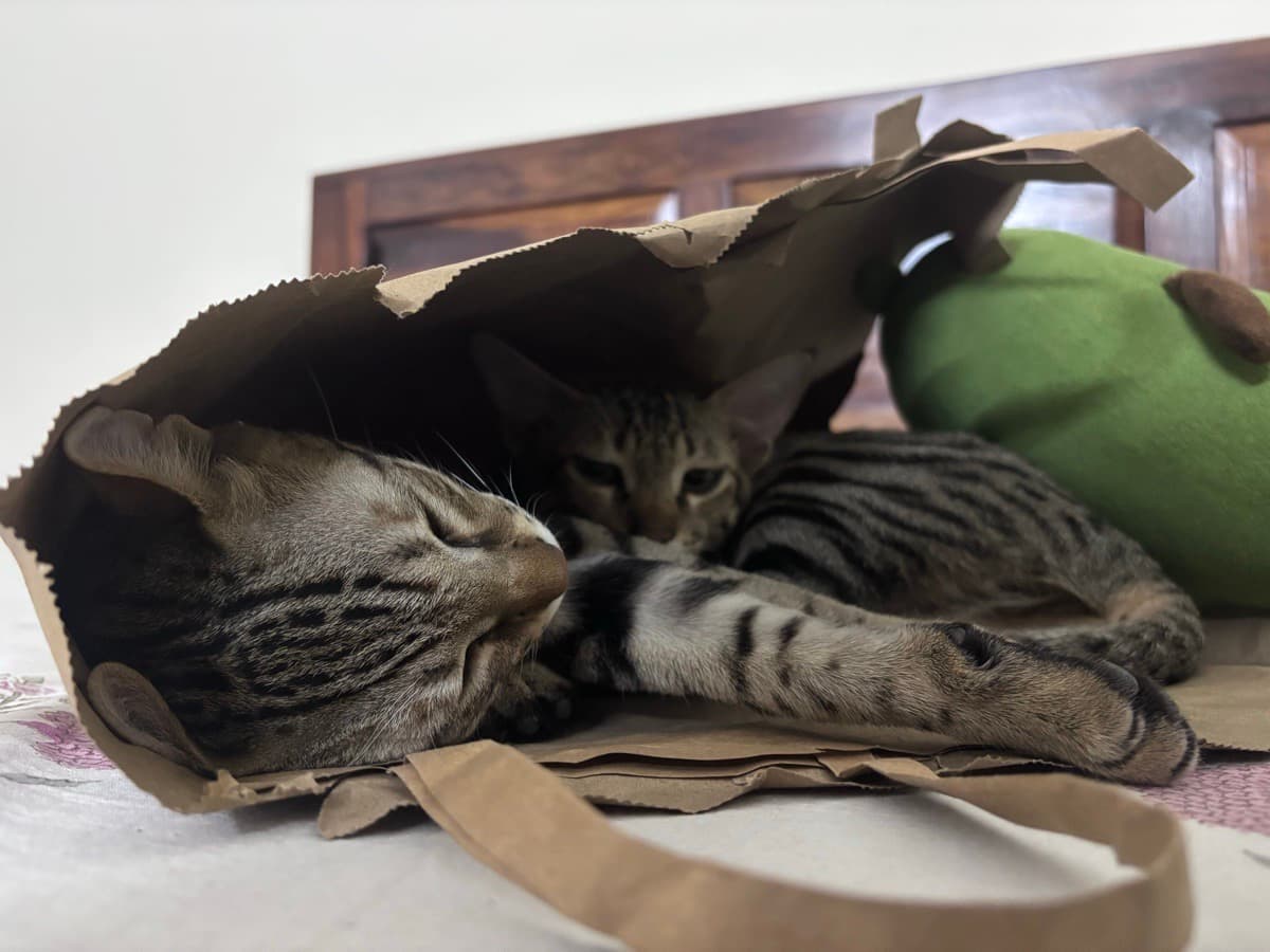 Sarah's home photo 6