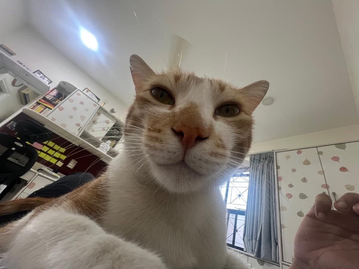 Nidhi's profile photo