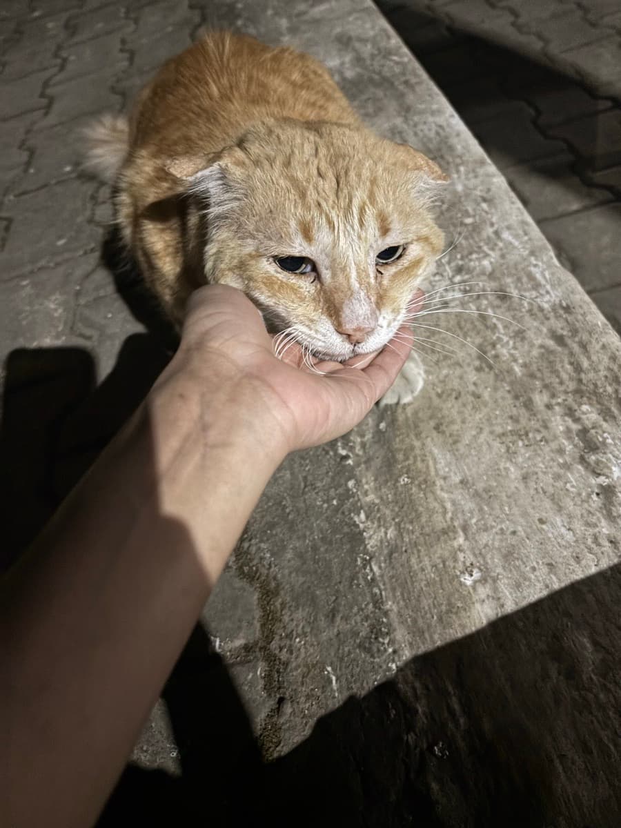 Nidhi's home photo 7