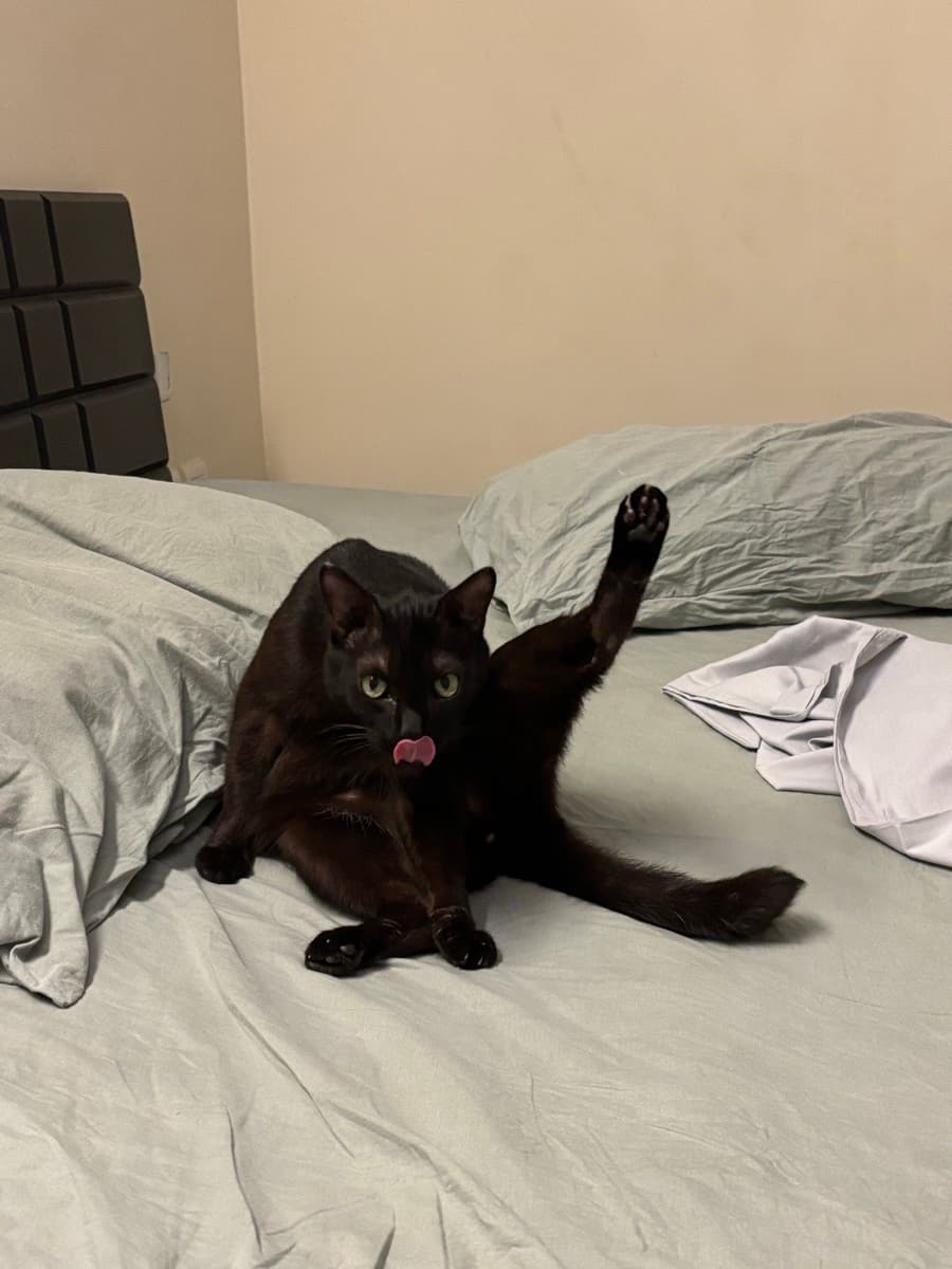 Nidhi's home photo 2